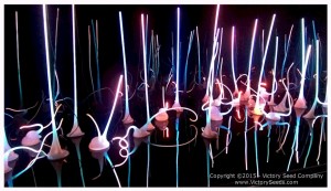 Chihuly Garden (4)