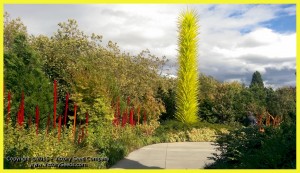 Chihuly Garden (1)