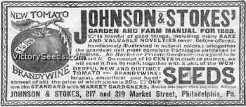 1889 Johnson & Stokes Advertisement