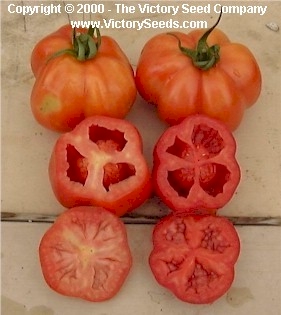 Click here to buy stuffing tomato seeds.